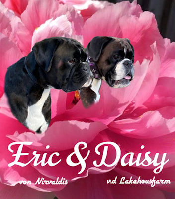 Eric x Daisy